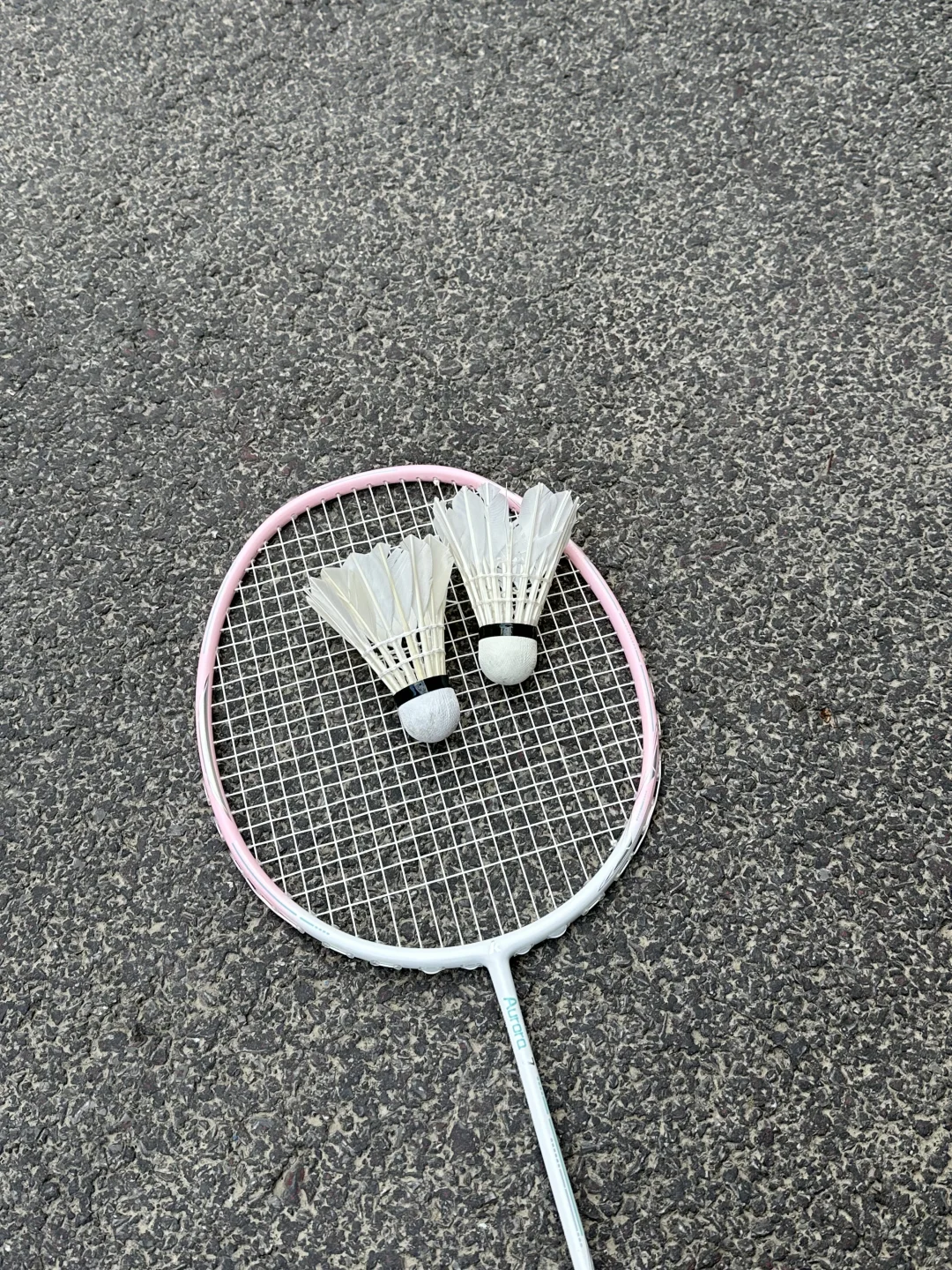 家人们，运动走起！