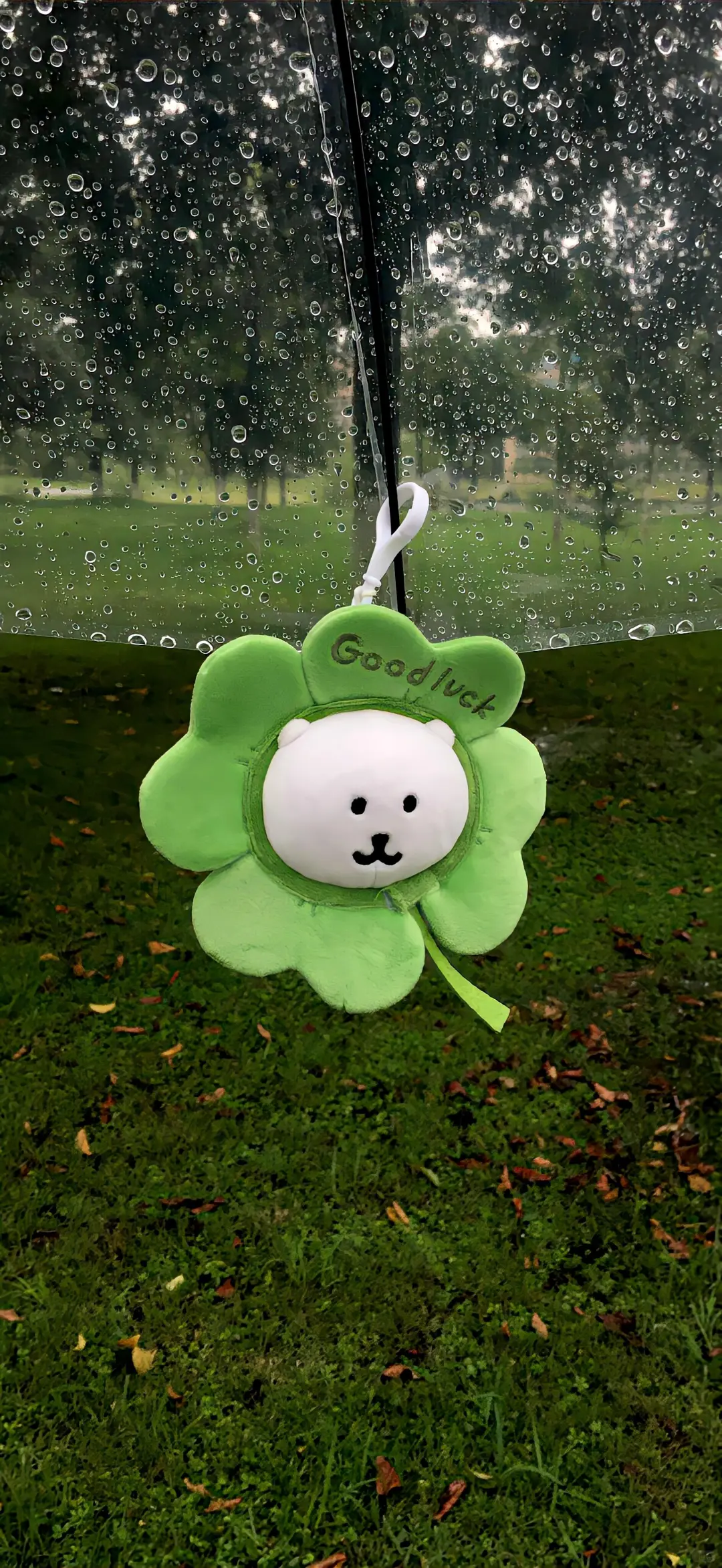 💒 𝐒𝐡𝐚𝐫𝐞｜自嘲熊壁纸