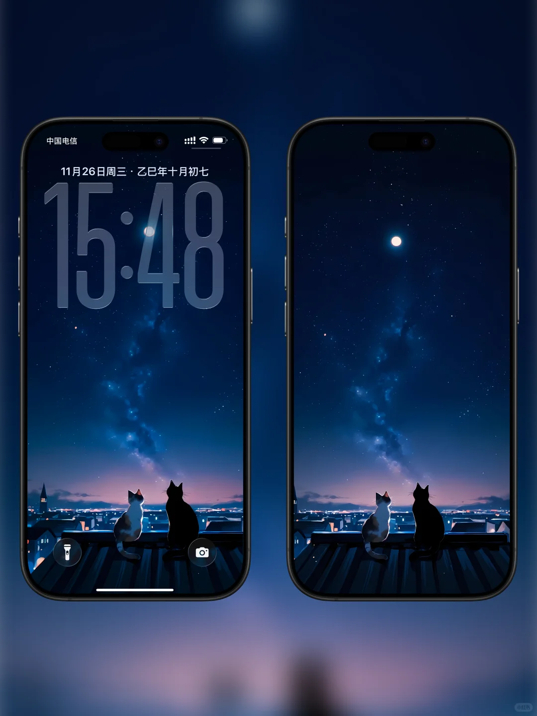 睡前壁纸：猫猫ฅ՞•ﻌ•՞ฅ