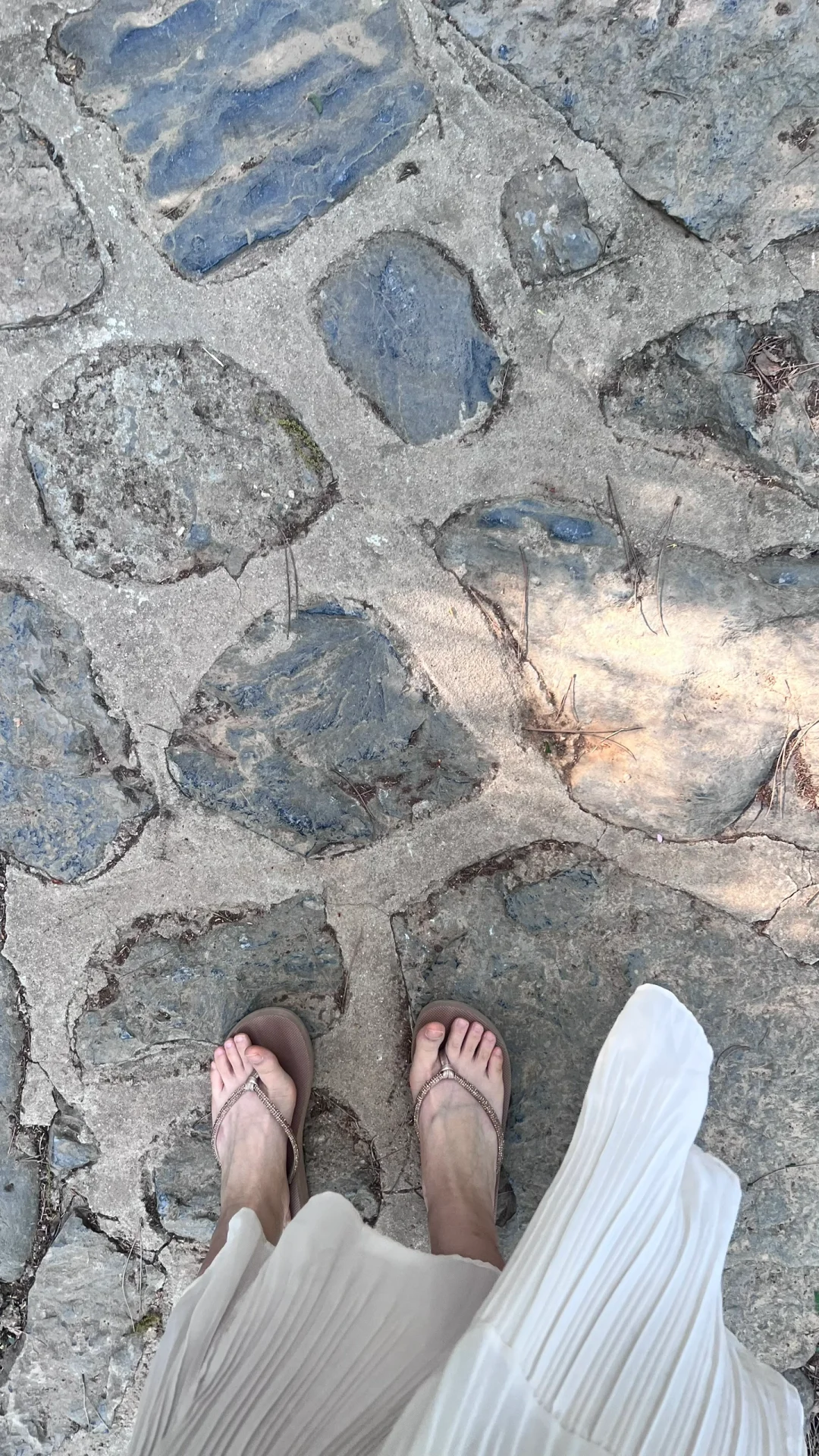 天气好好 进山吸吸氧🍃