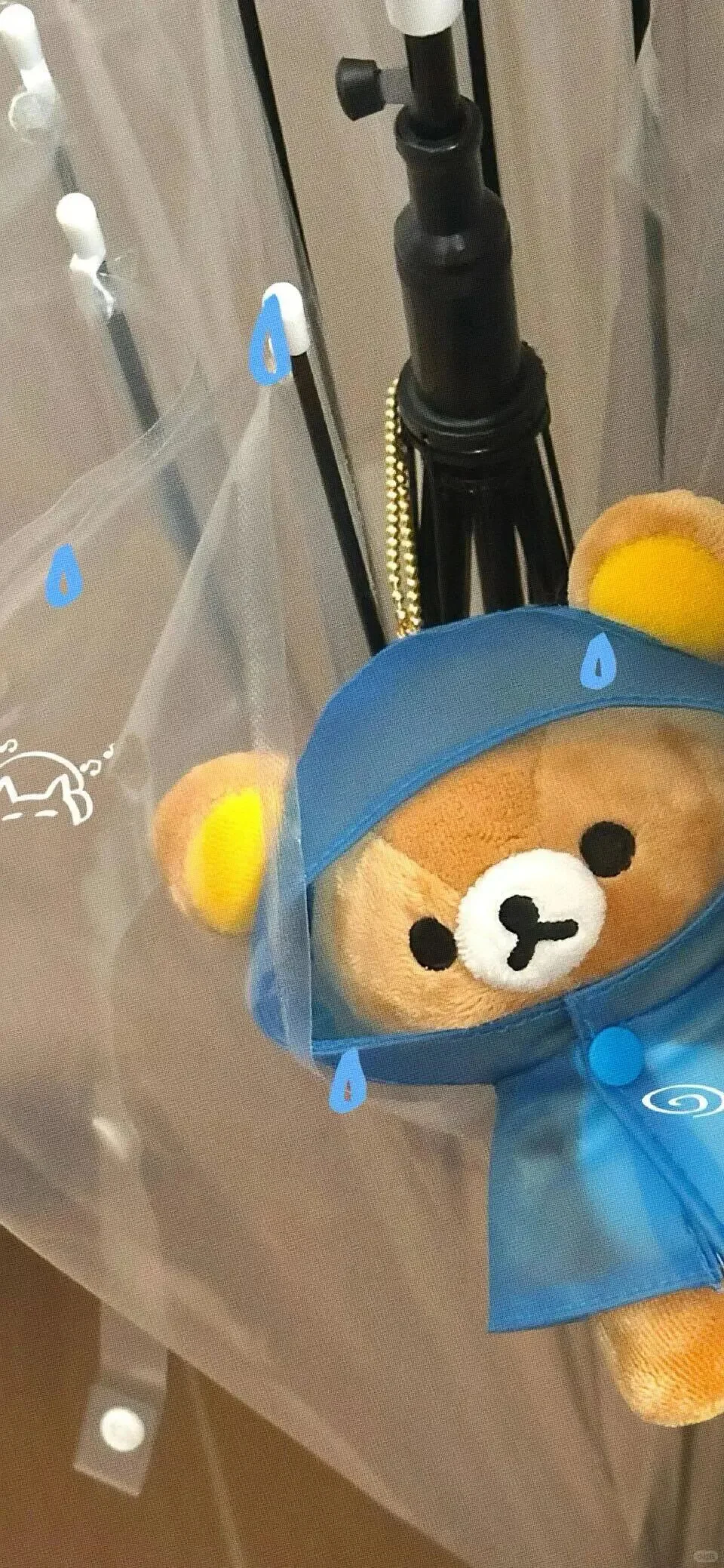 𝒘𝒆𝒄𝒉𝒂𝒕 ｜轻松熊壁纸