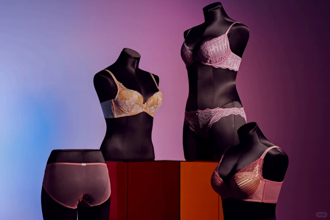 Victoria's Secret👙| 国际大牌内衣模特