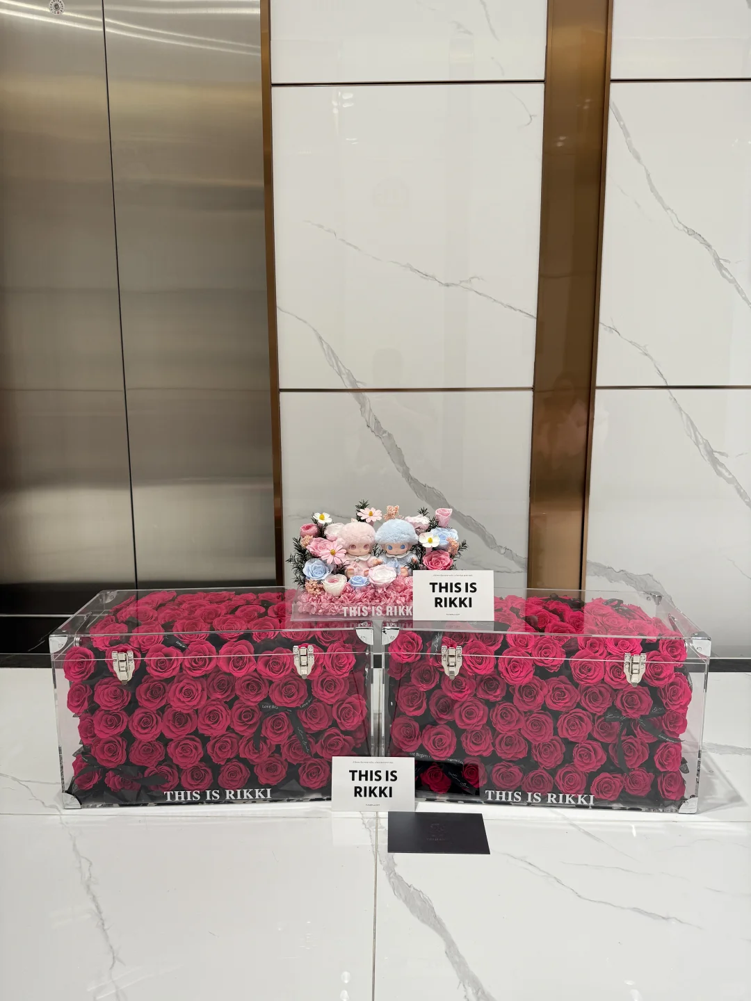 Dimoo双人新生日记系列宝宝味儿🍼必须