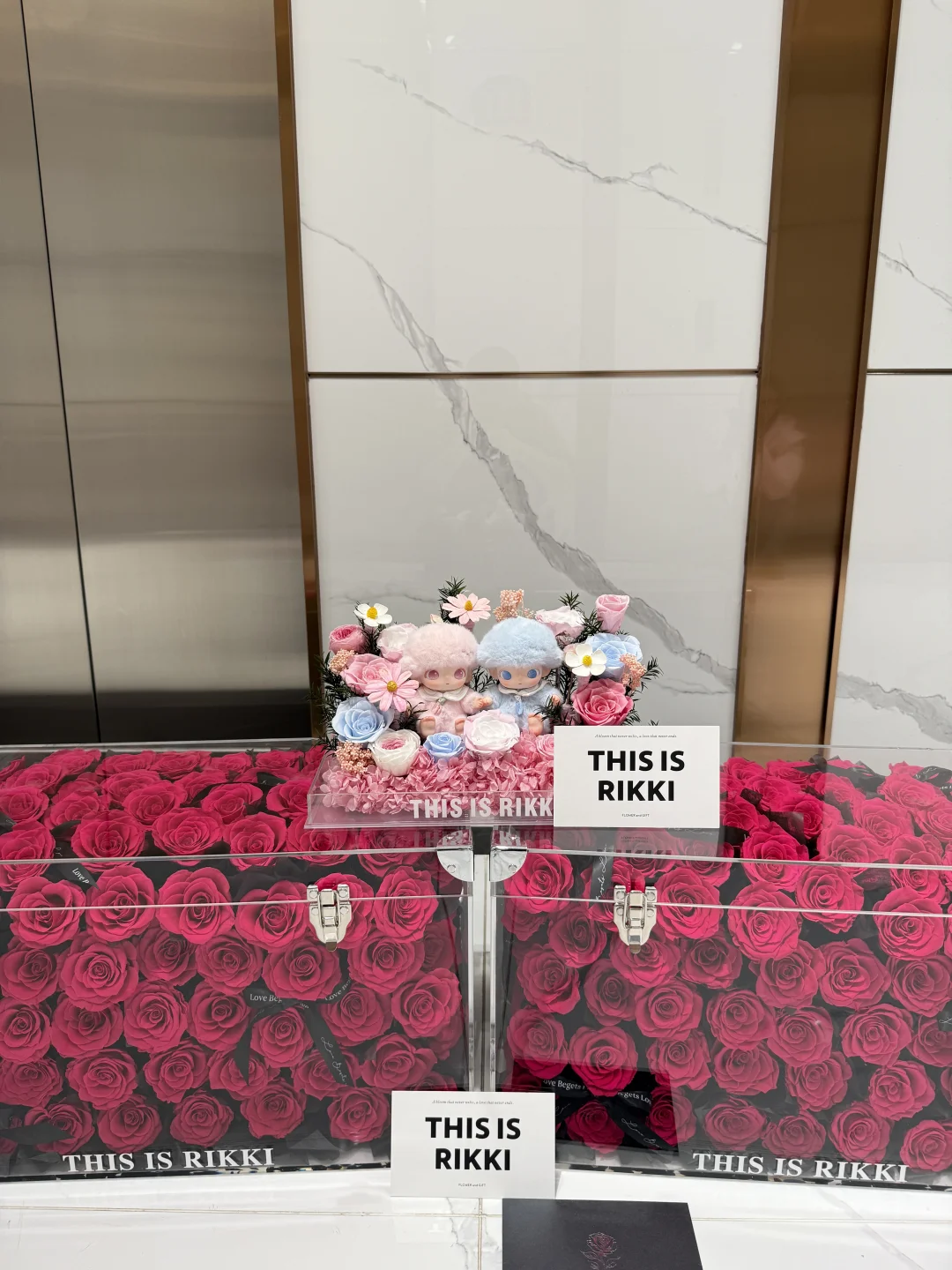 Dimoo双人新生日记系列宝宝味儿🍼必须