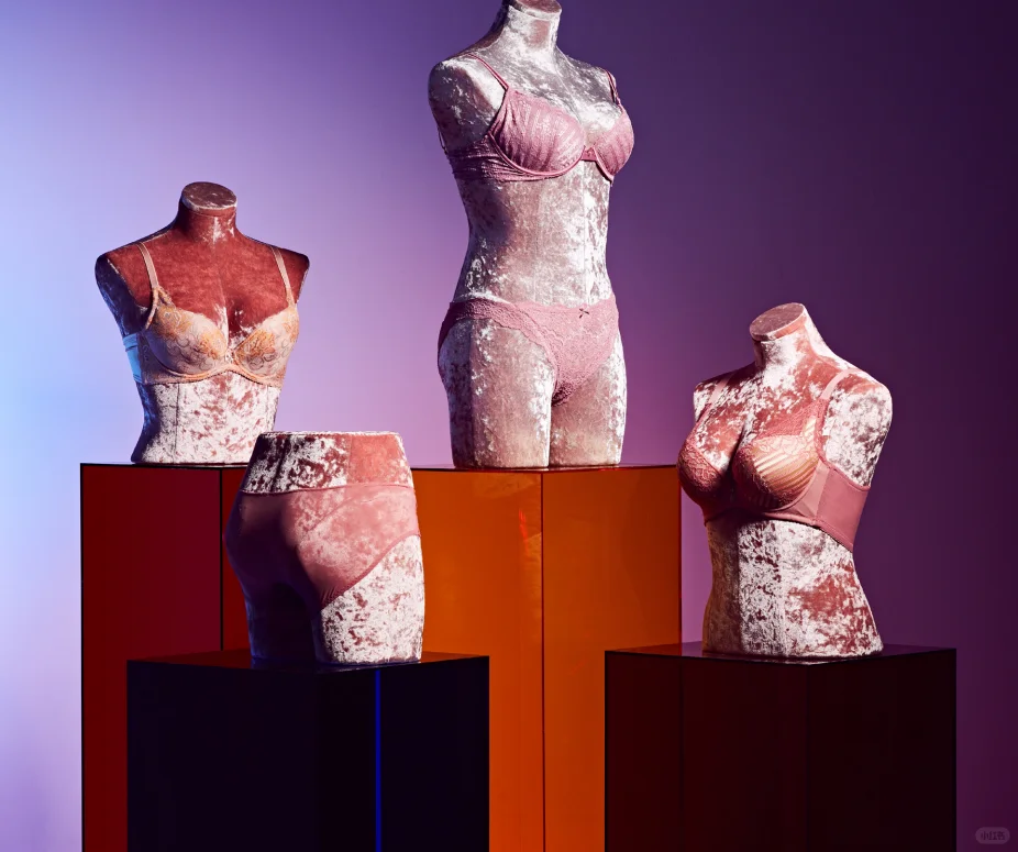 Victoria's Secret👙| 国际大牌内衣模特