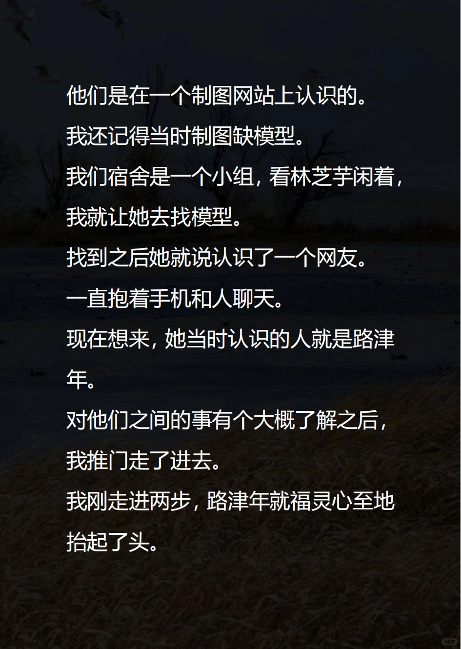 室友偷偷用我的照片 网恋