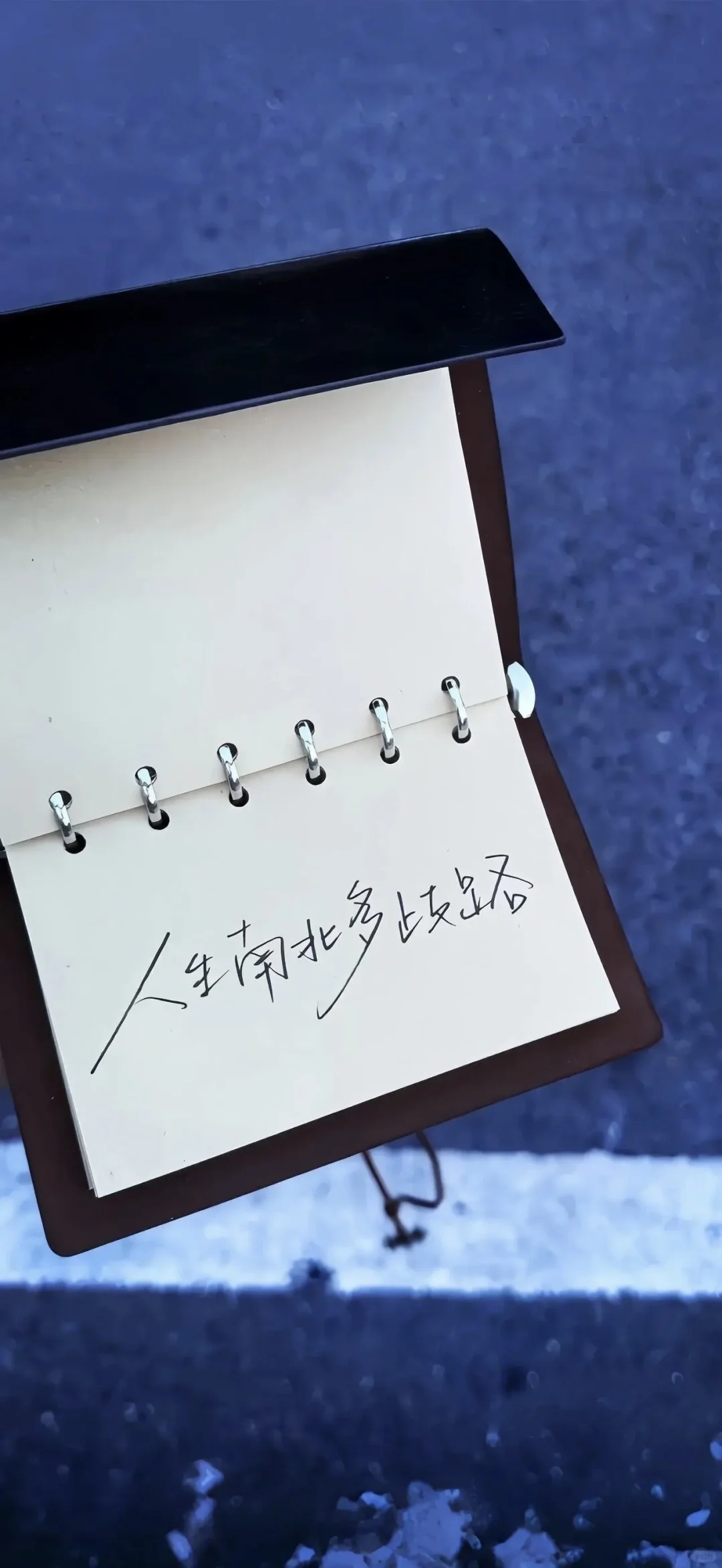 ins风小众氛围感壁纸分享:-$