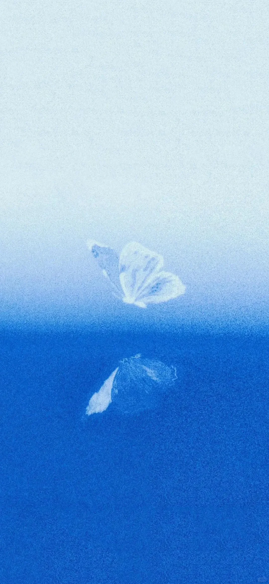 想你时风起 风起意难平