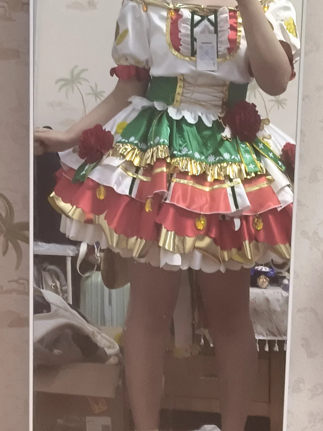 莉莉塔家的绿风芙羽梨