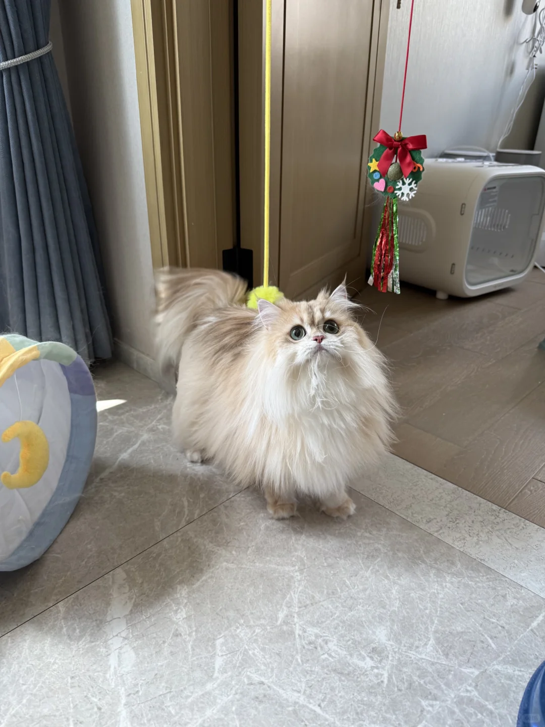 『家长返图』😍是当年想自留的妹妹呀！！