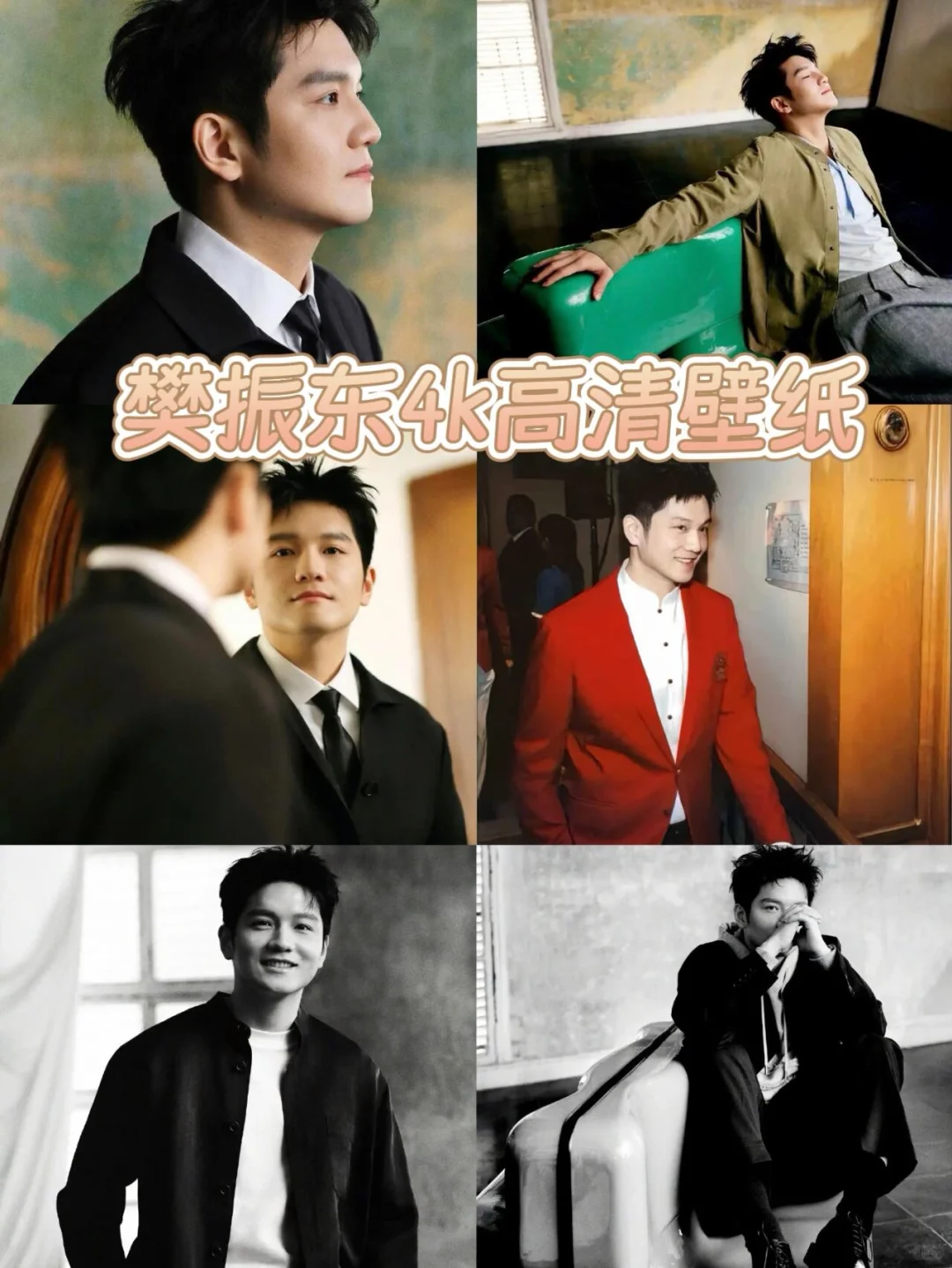 樊振东平板壁纸