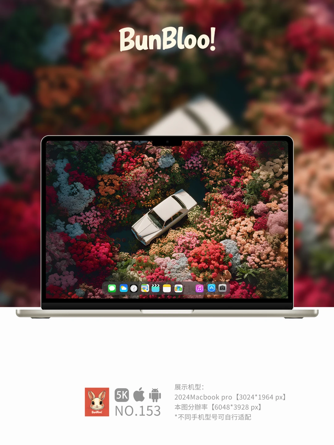 今日份壁纸分享，花花的世界真美啊！｜153