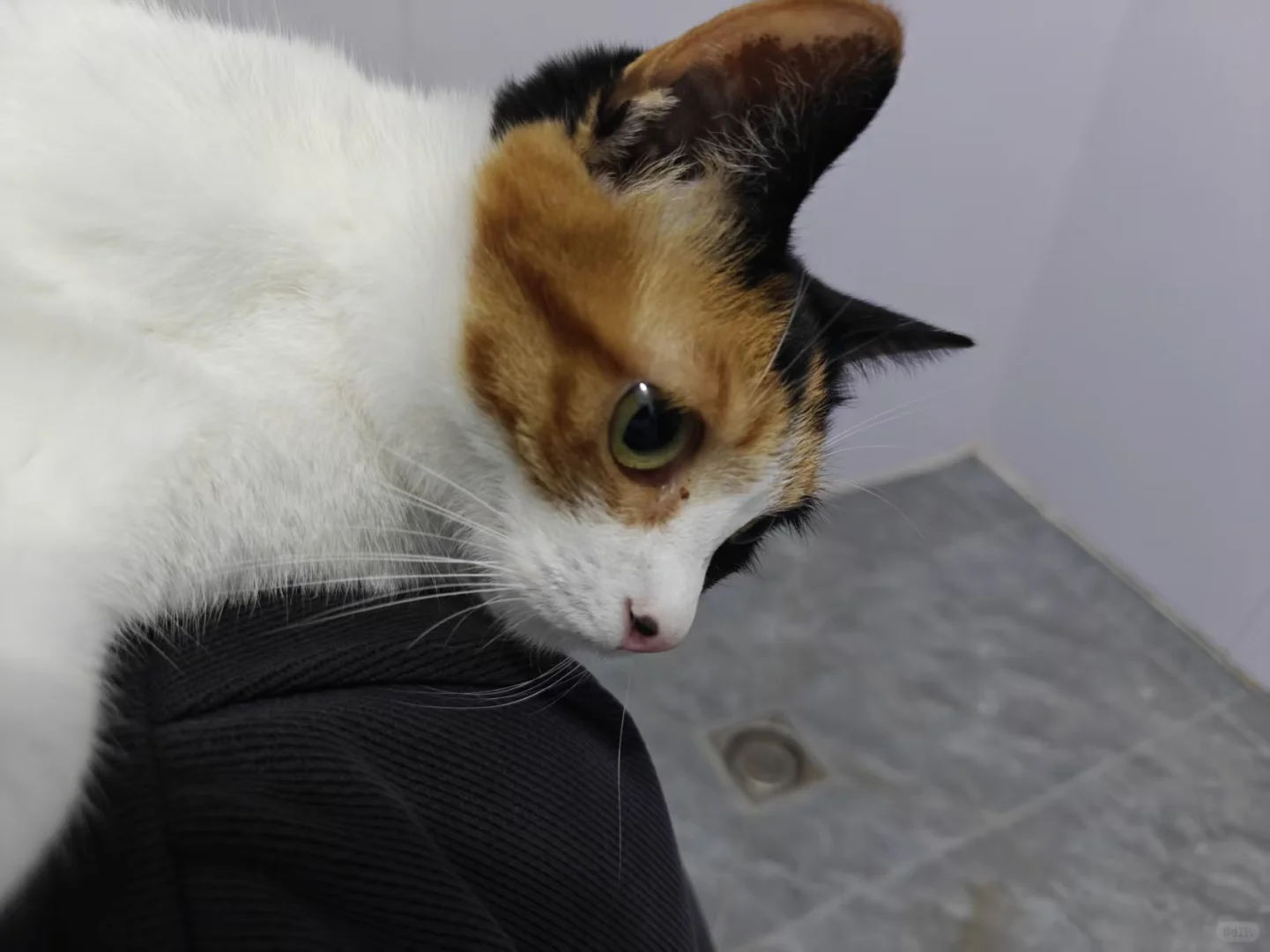 拒绝科技与狠活，就要这看得见的肉丝！