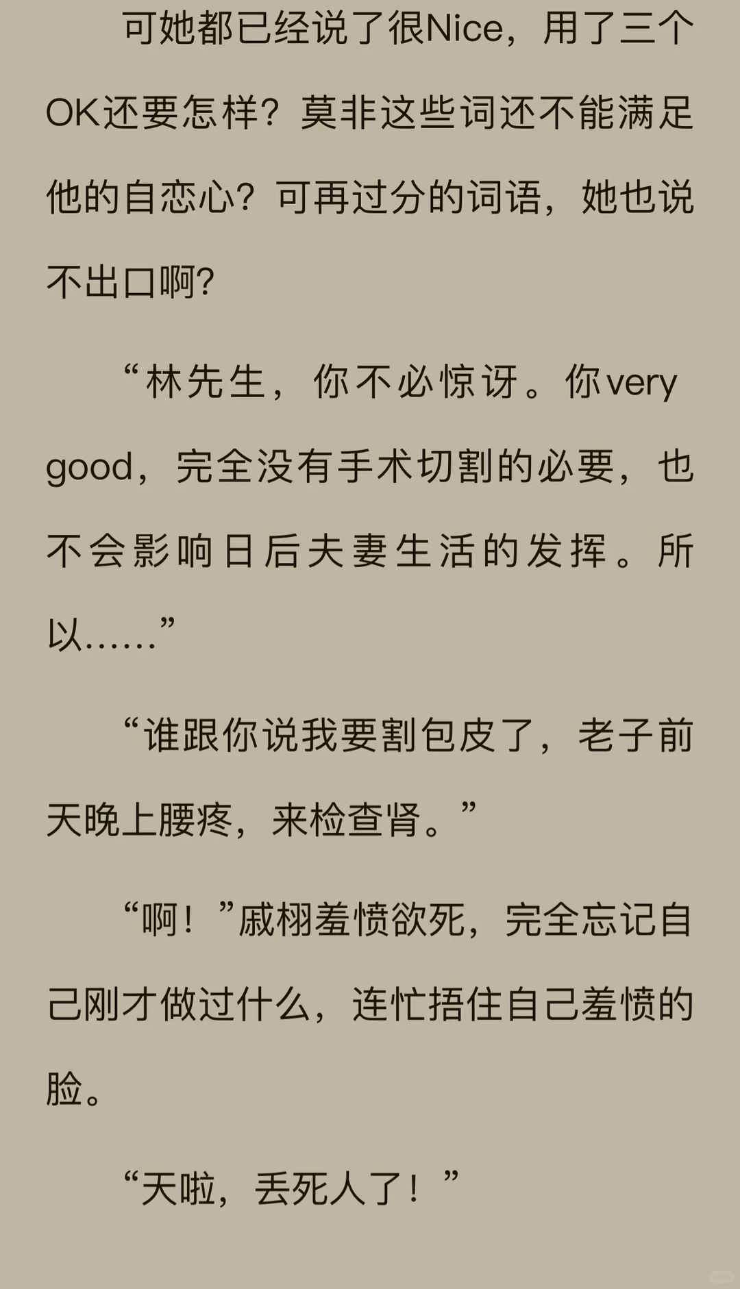 《冷面军官夜夜洗床单（他的小期许）》已完结