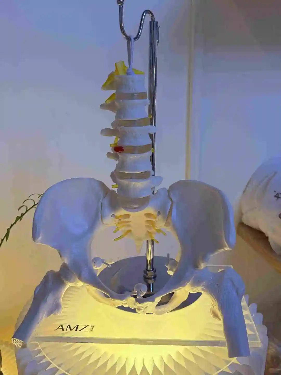 原相机直出无 P！福田这家店把我歪脸掰正