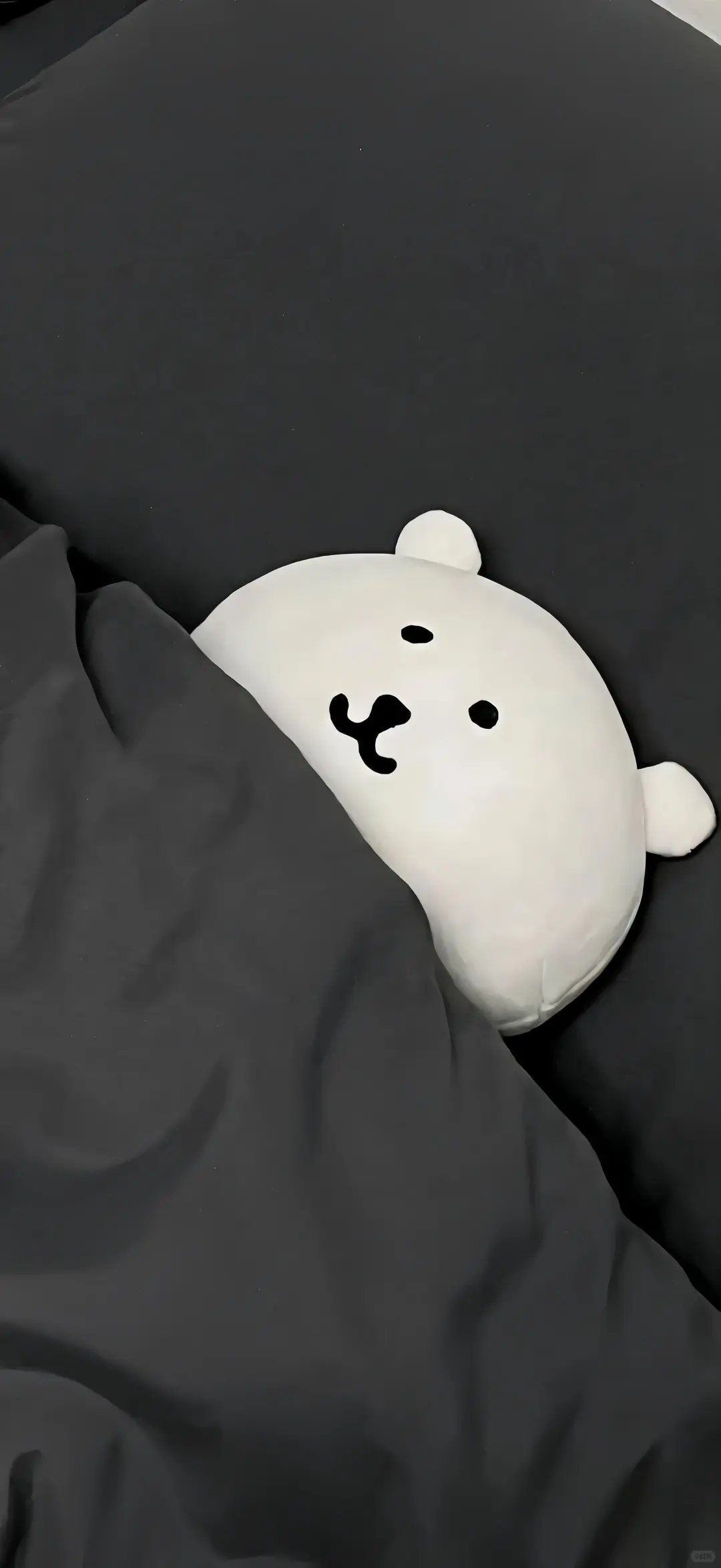 💒 𝐒𝐡𝐚𝐫𝐞｜自嘲熊壁纸