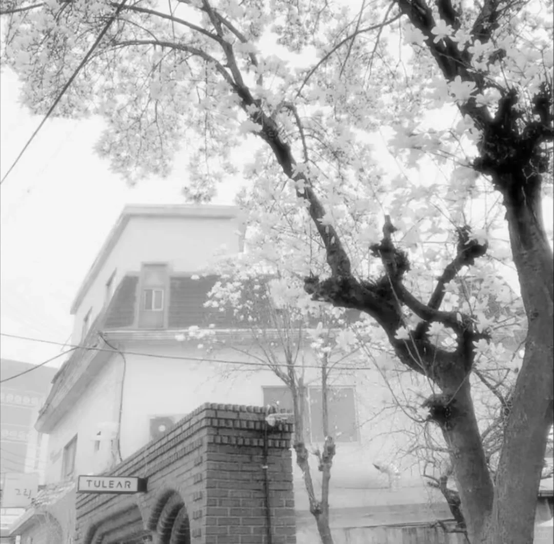 聊天背景 手机壁纸 朋友圈背景图