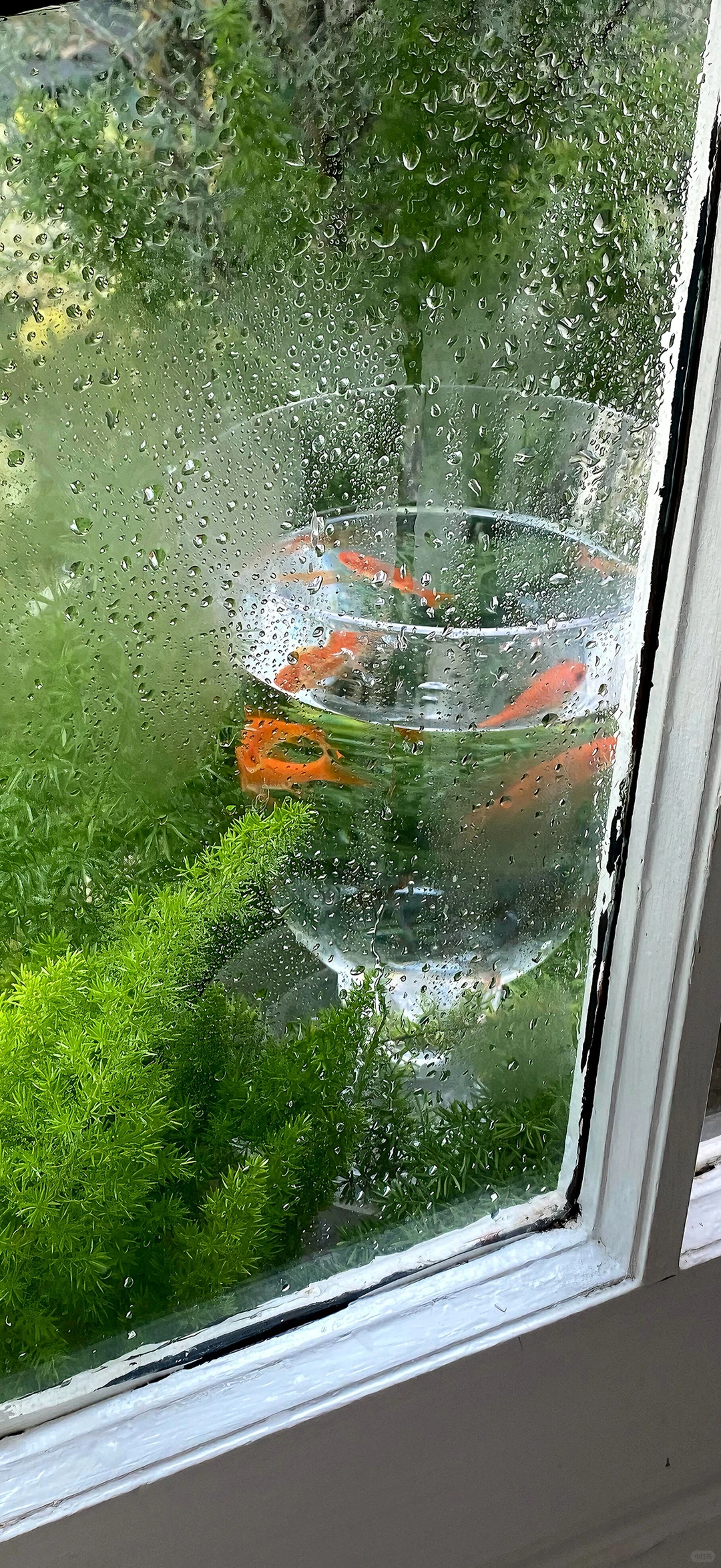 今日份壁纸｜小众高级感壁纸