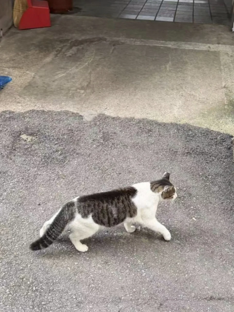 厚脸皮问前台小姐姐推荐变美基地