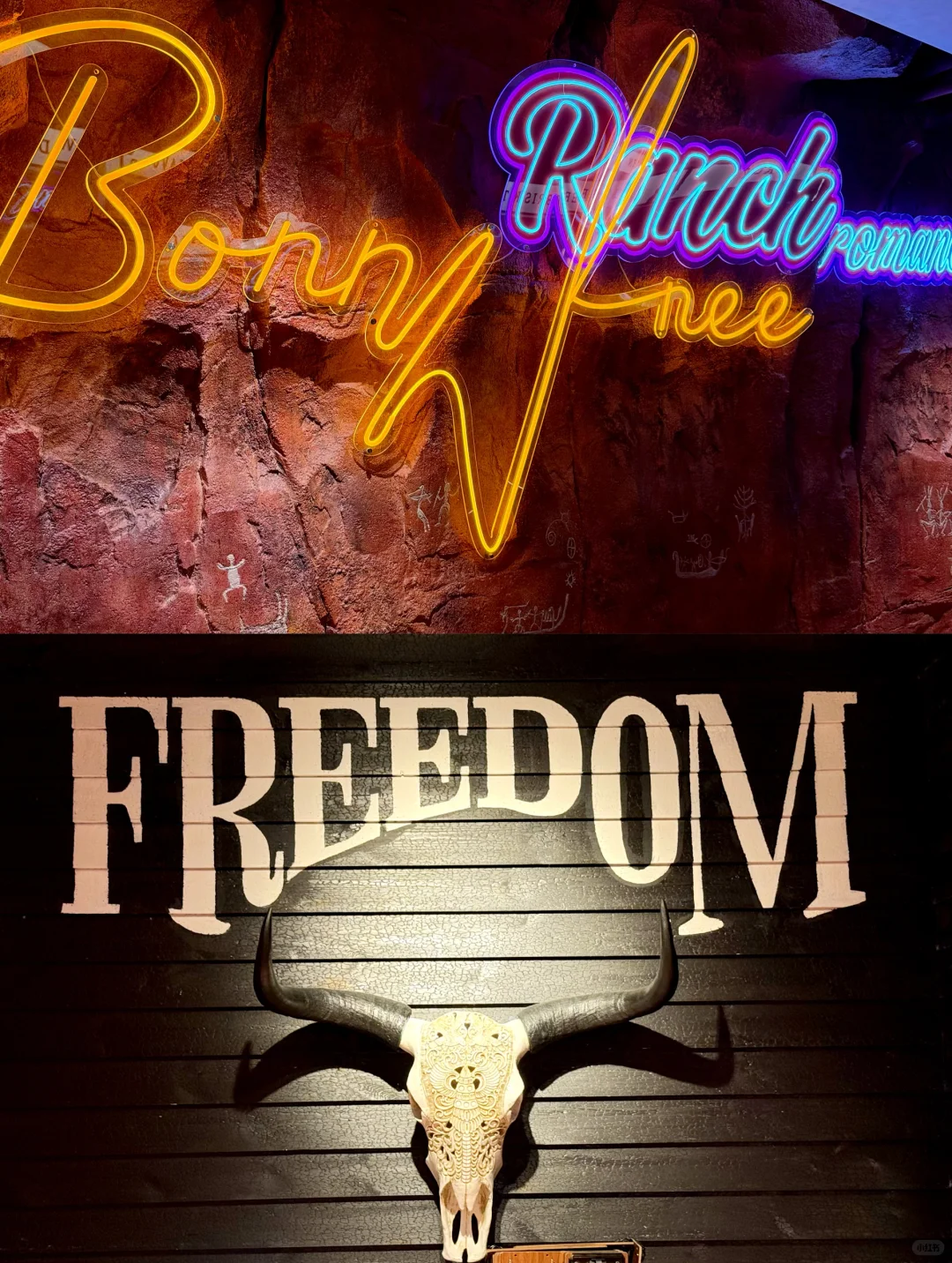 Go！🤠牛仔辣妹Cowgirl🐄的西部味觉之旅🥩