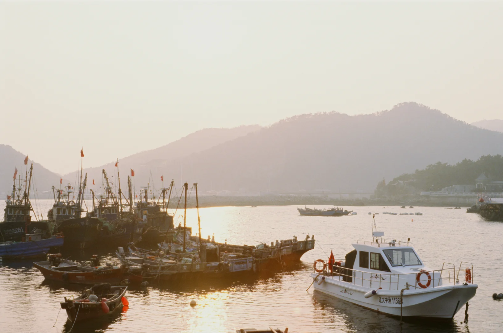 拍到电影女主角了！