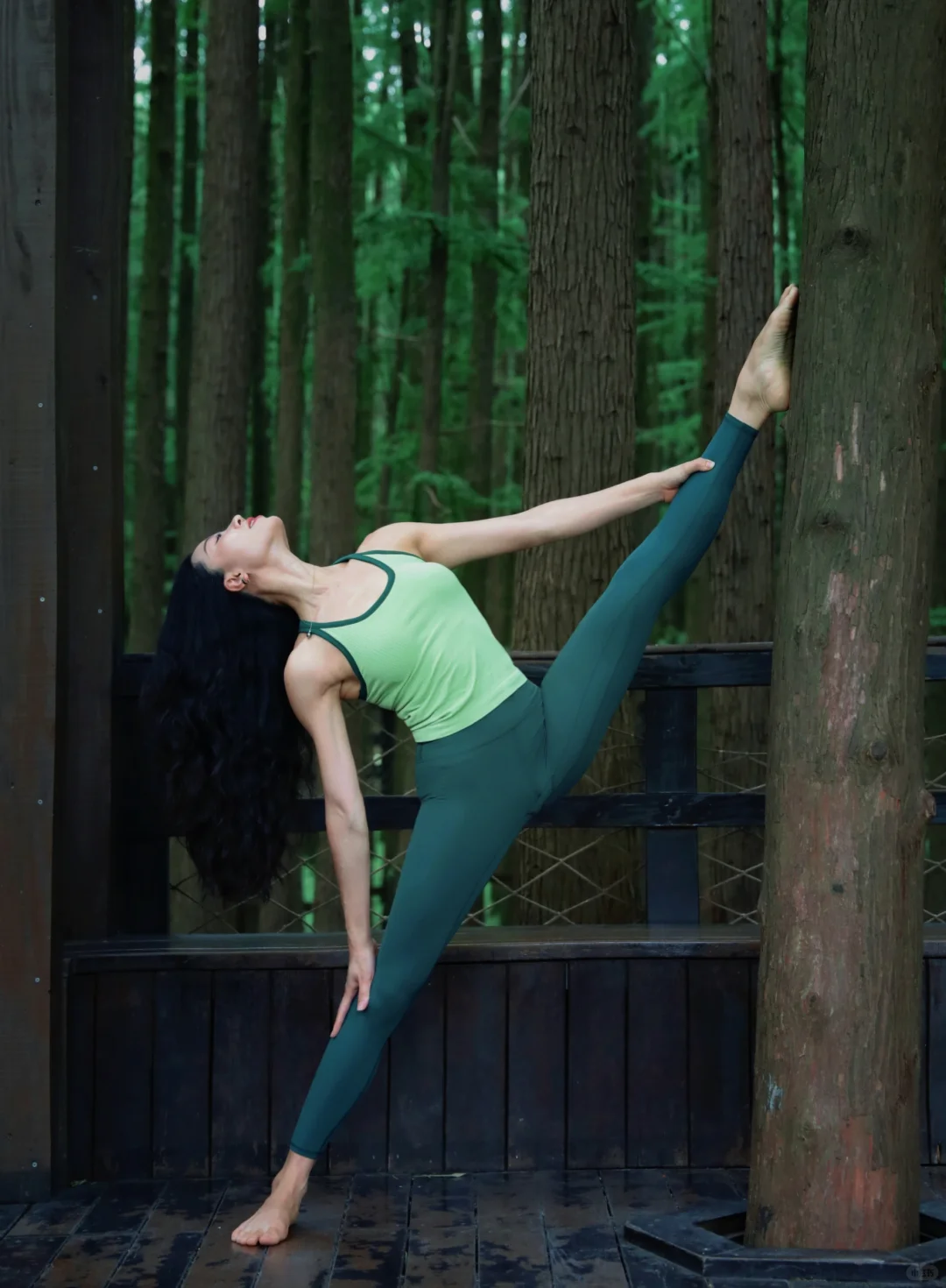 我猜你也一定喜欢绿色