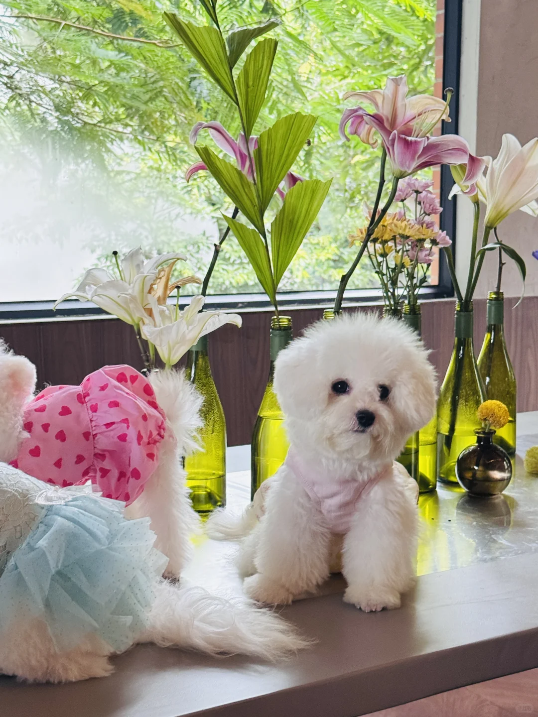 170斤大码女人穿小吊带裙的下午茶约会