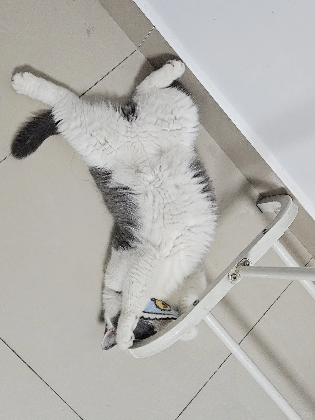 一不小心拍成私房了