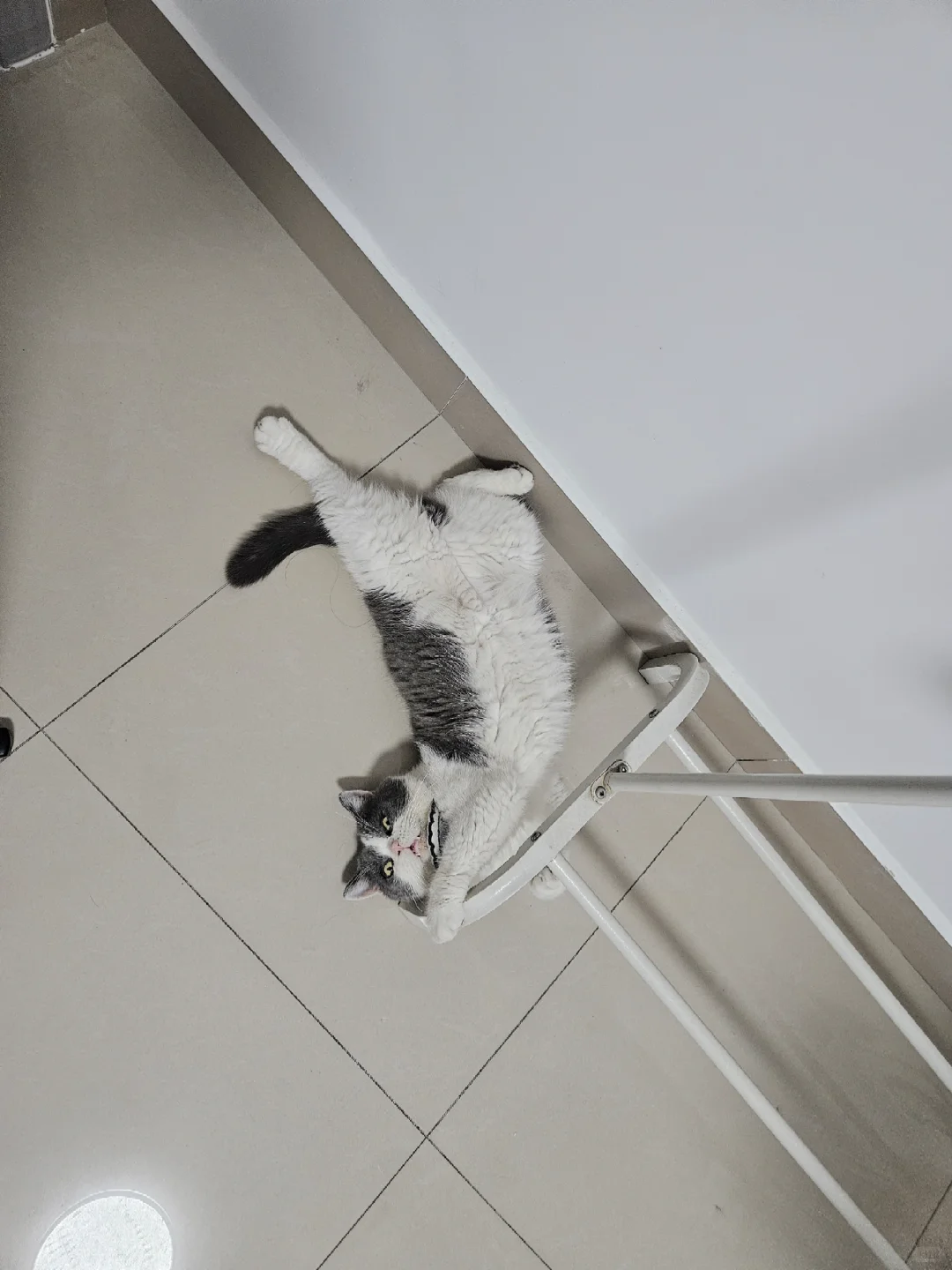 一不小心拍成私房了