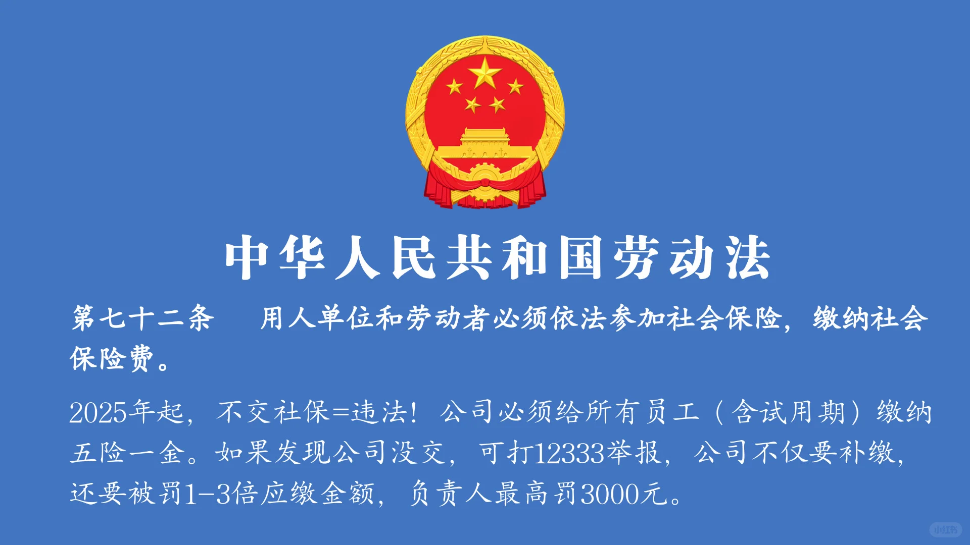 电脑壁纸｜我只能帮你们到这了😂