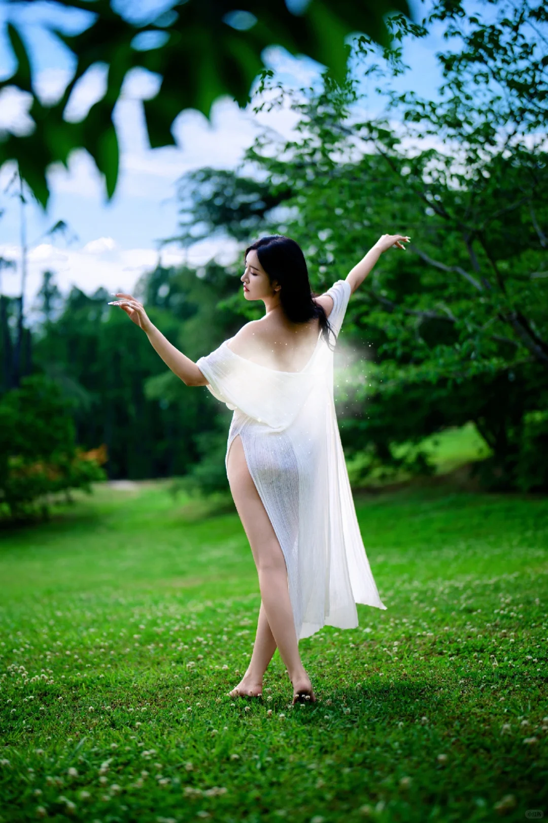 迷失在绿野之森🌿