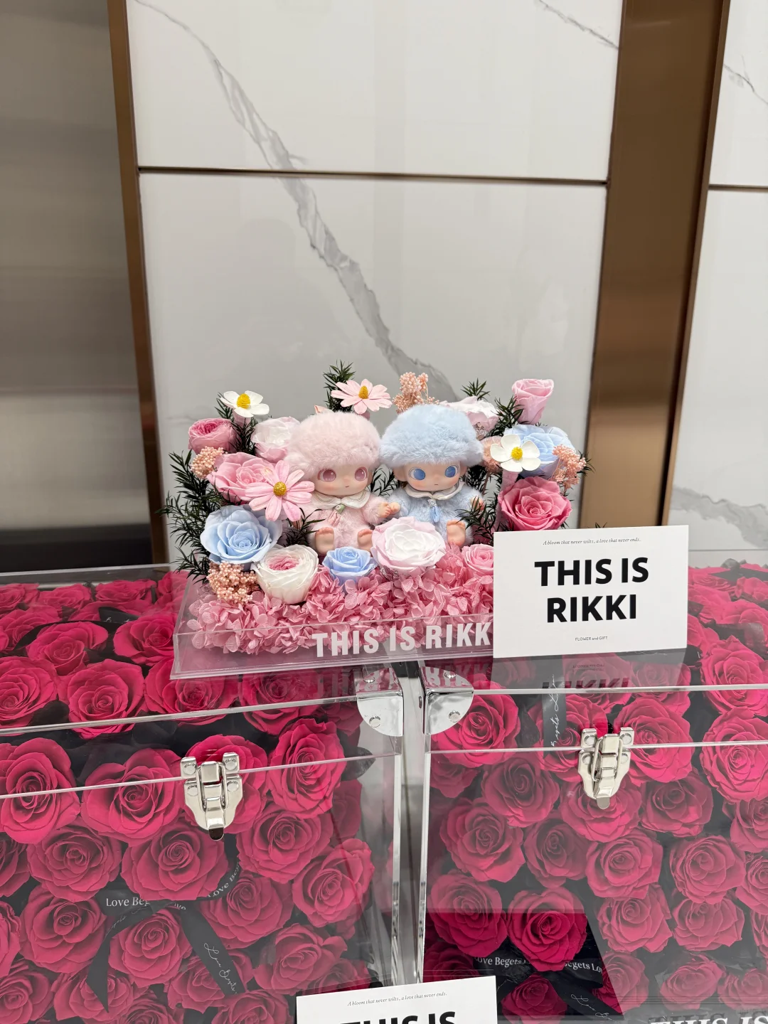 Dimoo双人新生日记系列宝宝味儿🍼必须