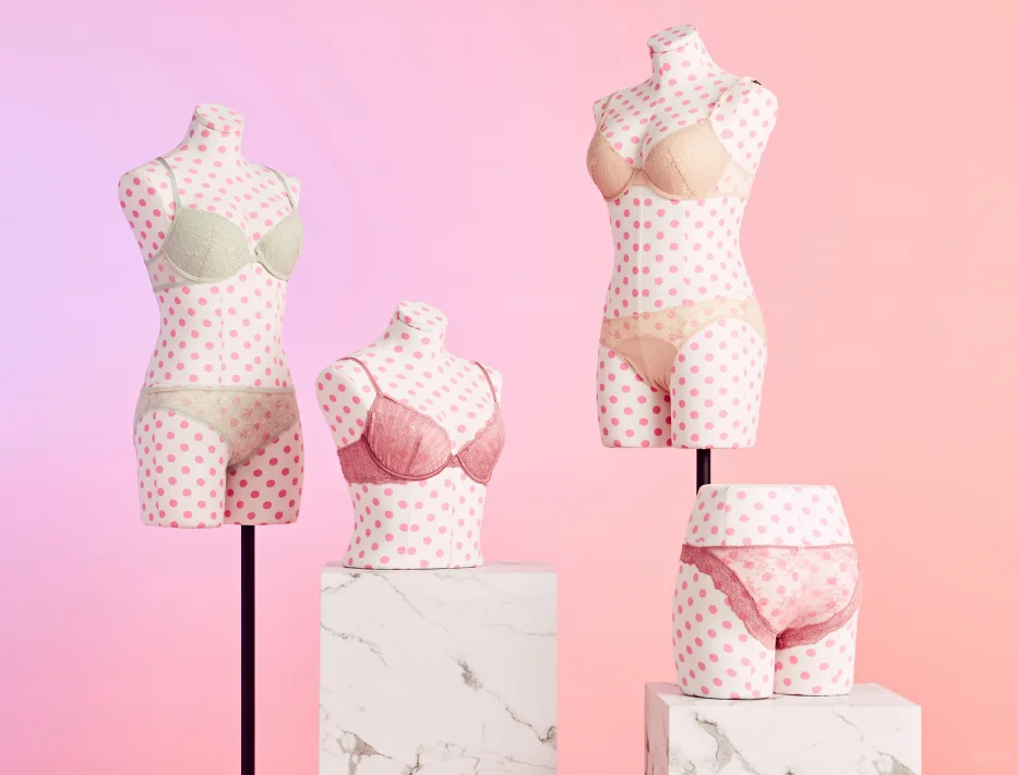 Victoria's Secret👙| 国际大牌内衣模特