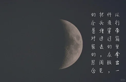 20251124电脑壁纸｜ipd壁纸绝绝子～