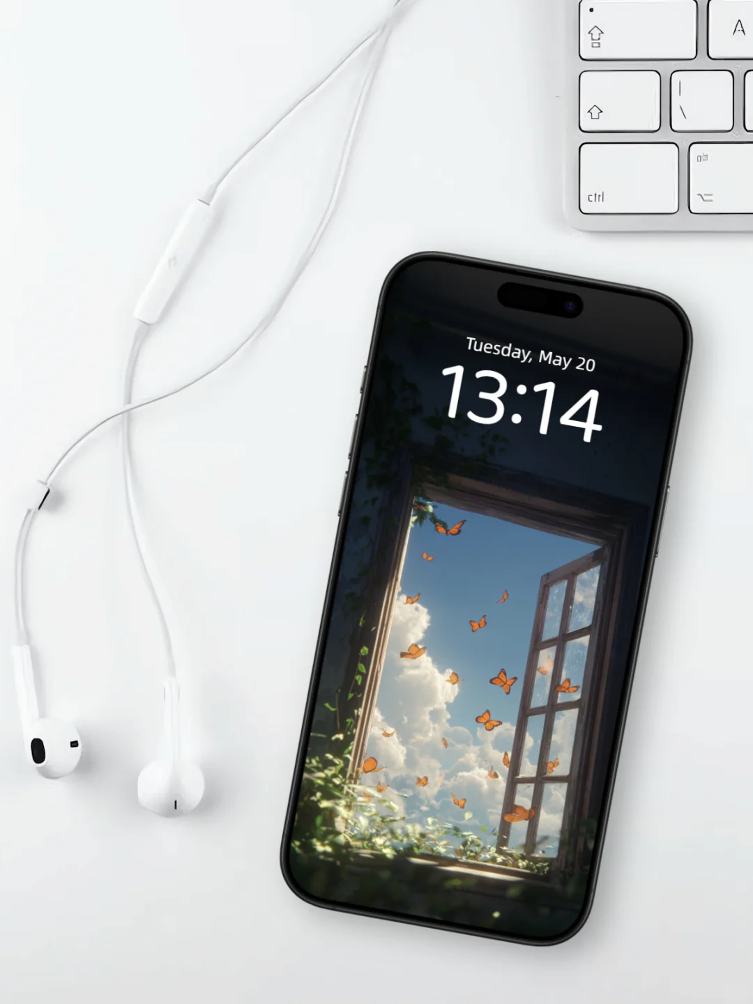 蝴蝶壁纸 l 盛夏的邂逅