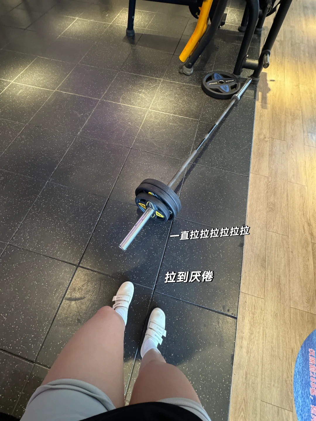 白色绝对的显臀