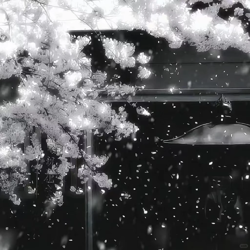 聊天背景 手机壁纸 朋友圈背景图