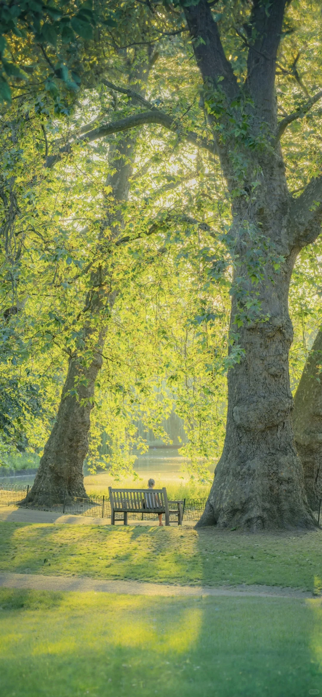 ins风小众氛围感壁纸分享•ᴥ•