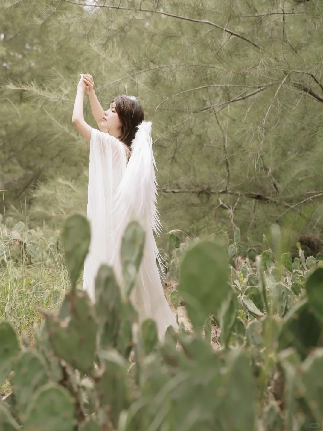 快看看我拍到的仙女～｜天使系列