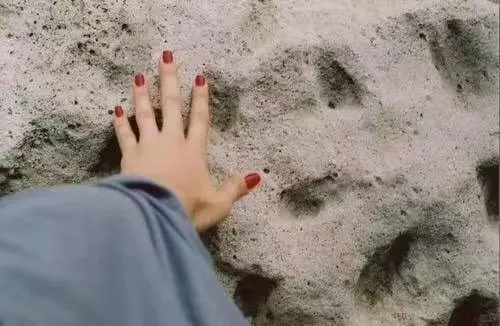 本人真诚寻人生伴侣，非诚勿扰！