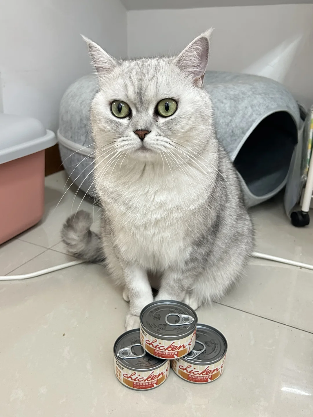 让喝水变得不再困难💧猫咪控必看！🐱