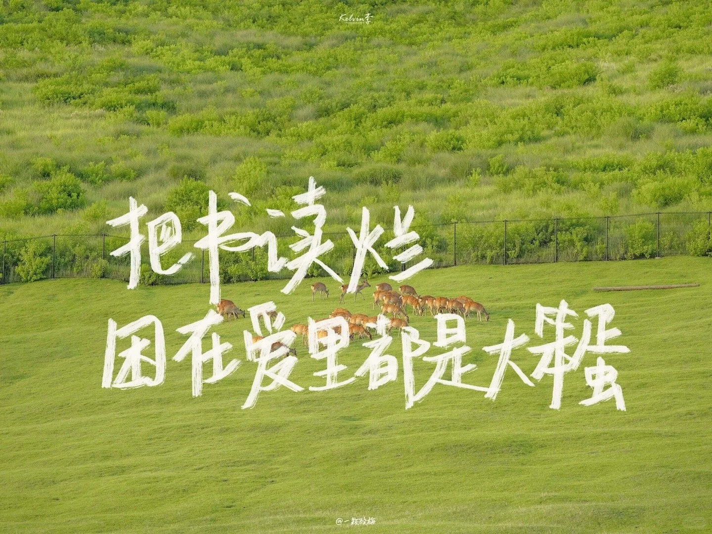 一期手写文字iPad电脑壁纸～