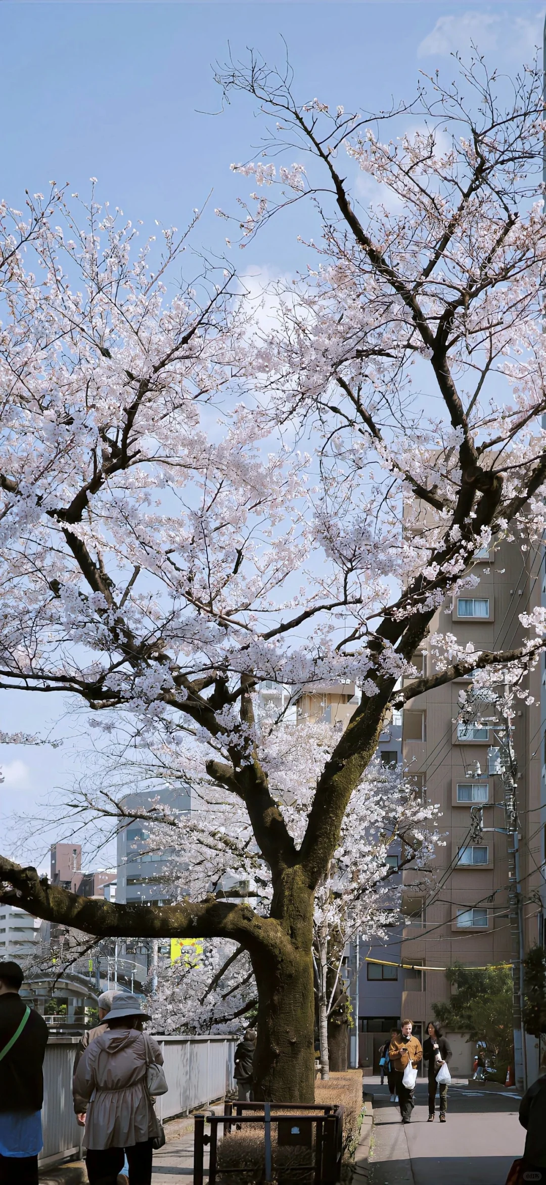 ins小众高级感手机壁纸🥰