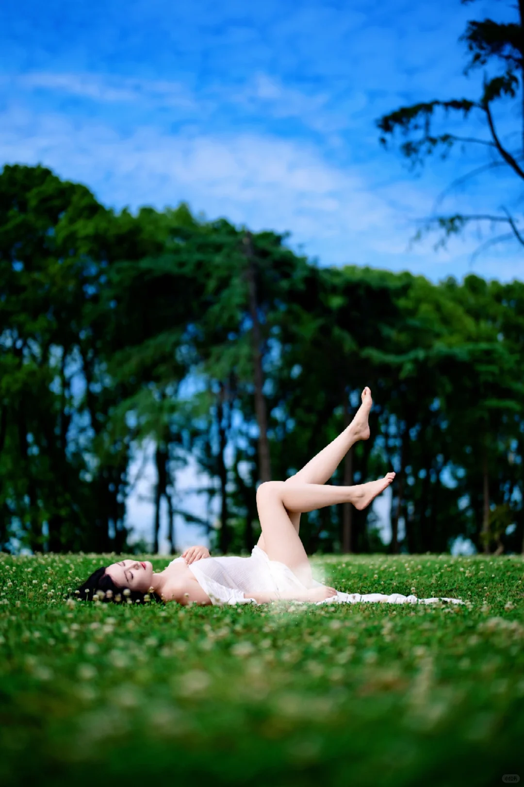 迷失在绿野之森🌿