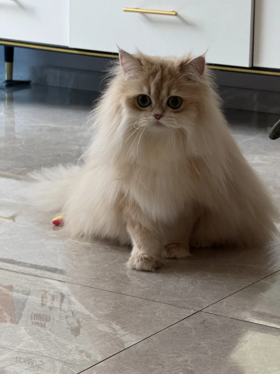 『家长返图』😍是当年想自留的妹妹呀！！