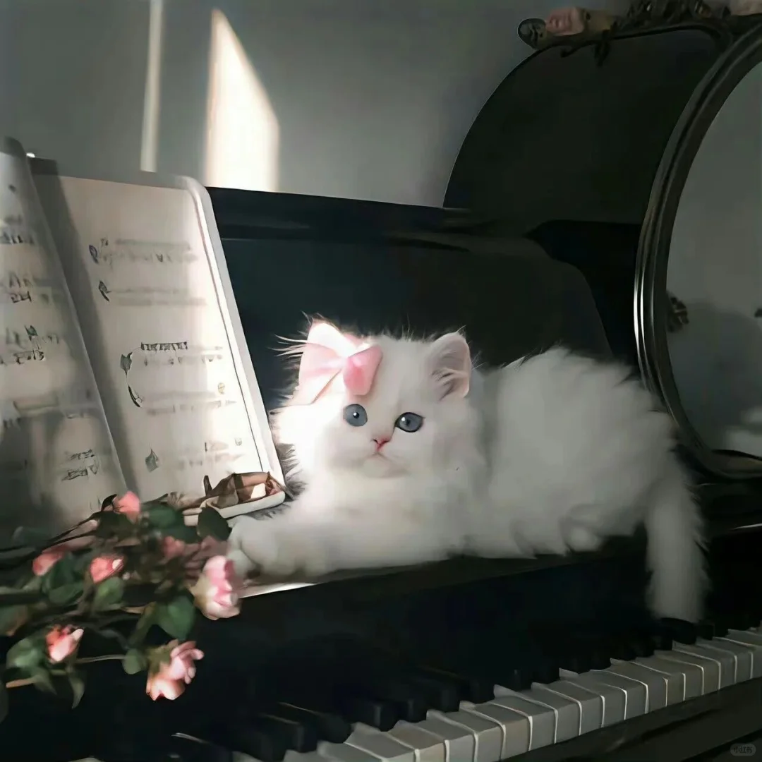 超旺自己偷一句🧡去惊艳你的朋ᩚ友ᩚ圈