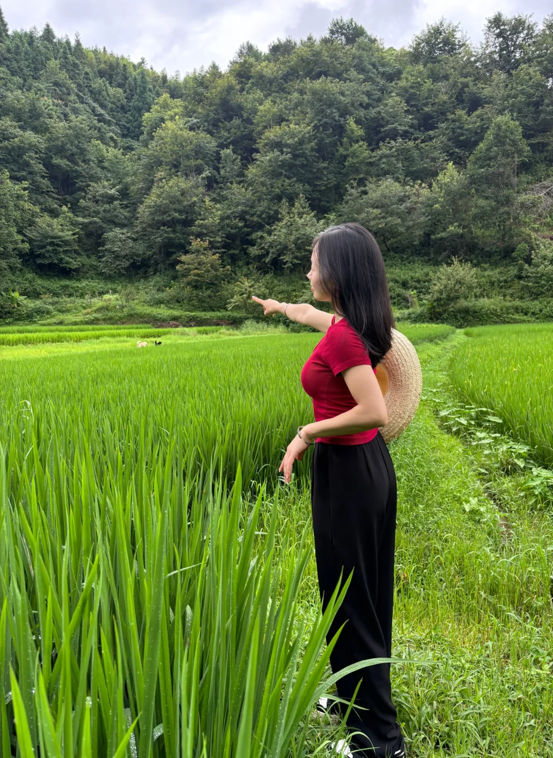 走在乡间的小路上，仿佛回到了小时候