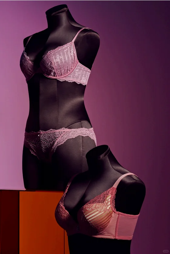 Victoria's Secret👙| 国际大牌内衣模特