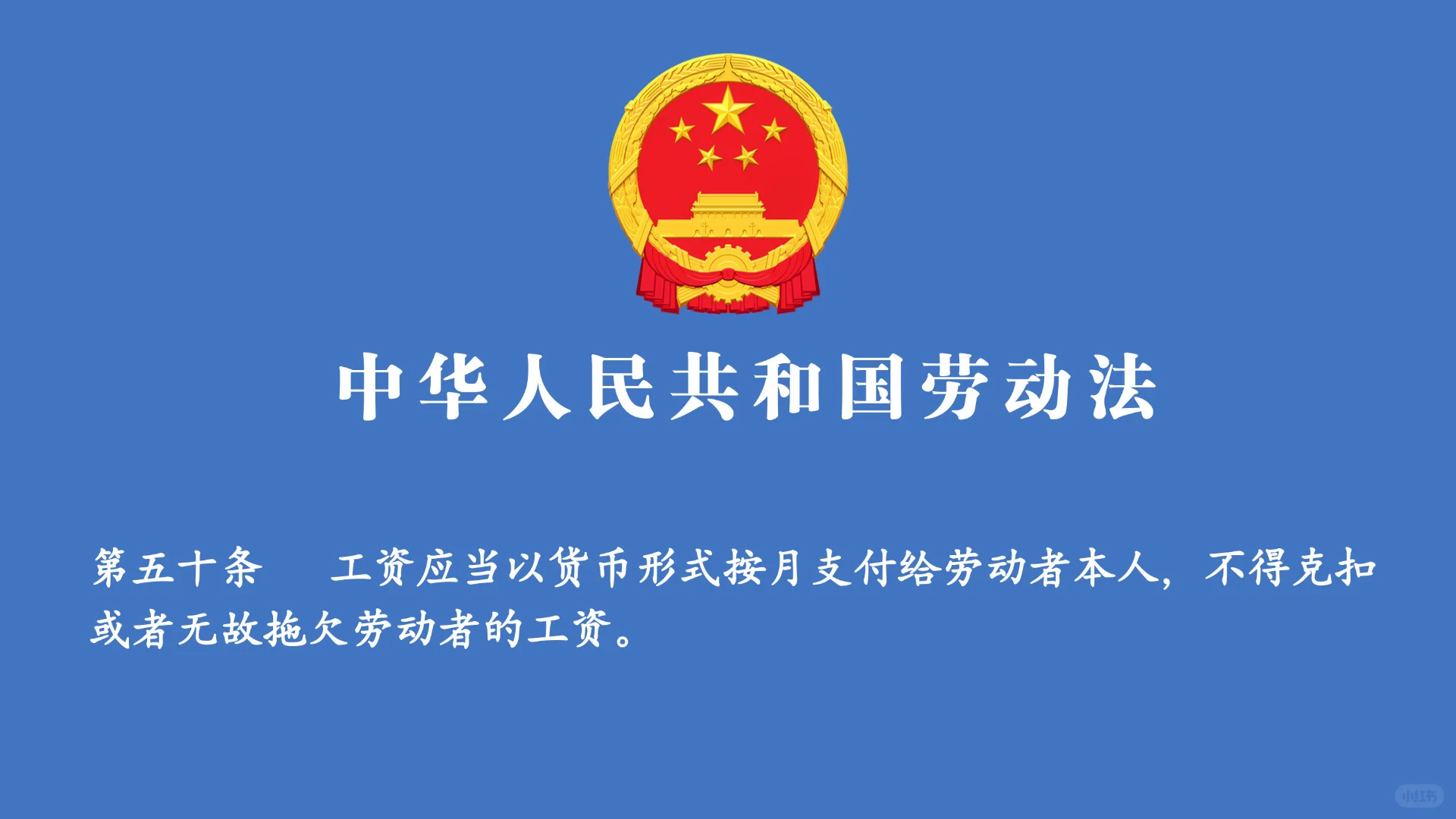 电脑壁纸｜我只能帮你们到这了😂