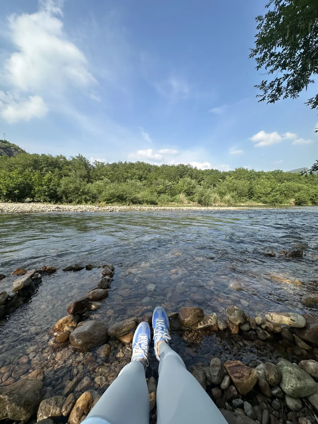 摘野果摸螺丝，我懂了祖先的爽🪺🍄野心友好